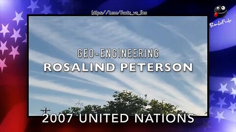 Rosalind Peterson on Chemtrails & Geoengineering, 2007 United Nations (Full Speech)