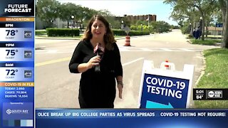 Rapid COVID-19 tests becoming popular, but are they as accurate?