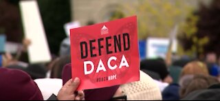 DACA applicants being approved