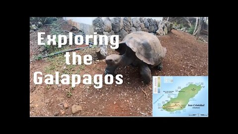 Ep. 83 - Galapagos Tortoises and Van Tour of San Cristobal