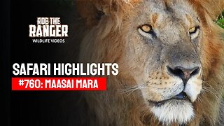 Safari Highlights #760: 05th April 2023 | Lalashe Maasai Mara | Latest Wildlife Sightings