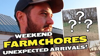 Weekend On the Farm: Unexpected Arrivals