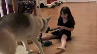 The cutest tug-of-war game ever