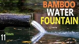 Tree Trunk Bamboo Water Fountain White Noise Water Sounds Relax Meditate Study Sleep 11 Hrs