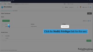 How to modify database user privileges in DirectAdmin FelizHosting