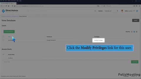 How to modify database user privileges in DirectAdmin FelizHosting