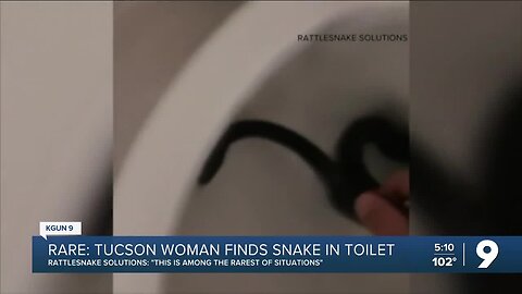 Tucson woman finds snake in toiler