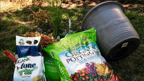 Planting our Front Step Containers