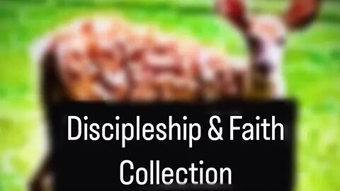 Discipleship & Faith Collection