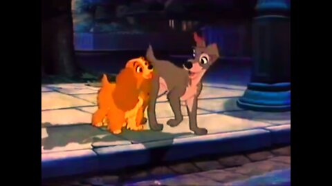 Lady and the tramp~10,000 hours