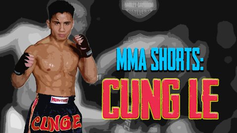 MMA SHORTS: CUNG LE