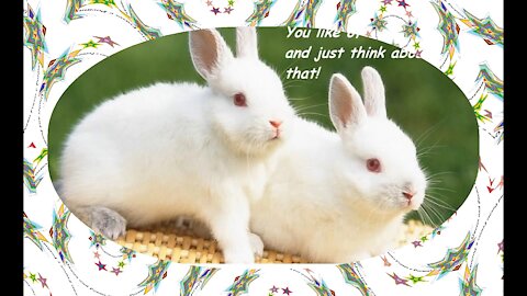 You are like a rabbit: You like a carrot, and just think doing that! [Quotes and Poems]