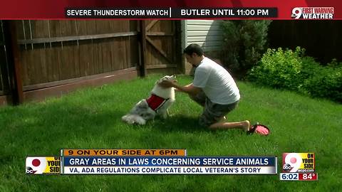 Gray area in laws concerning service animals