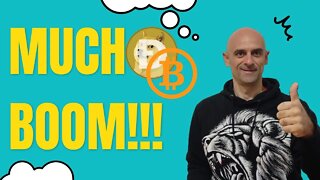 Bitcoin and Dogecoin Pumps!!! Is the Bear Market Over? #crypto #bitcoin