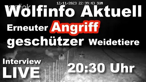 Wolfinfo Aktuell LIVE Interview mit Schäfer Julian Schulz