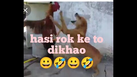 Cock & dog funny fight 🤣🤣🤣