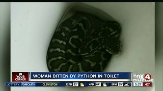 Woman bitten by a python in toilet