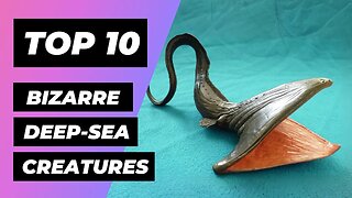 Top 10 Most BIZARRE Deep-Sea Creatures! | 1 Minute Animals