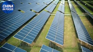 NTD Italia: Cina (ex) fabbrica del mondo. I produttori di pannelli solari iniziano ad andarsene
