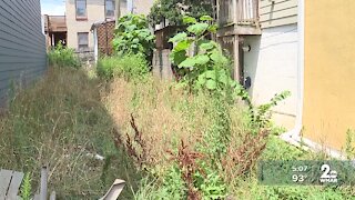 Neighbors concerned about private vacant lot at 214 E. Fort Ave