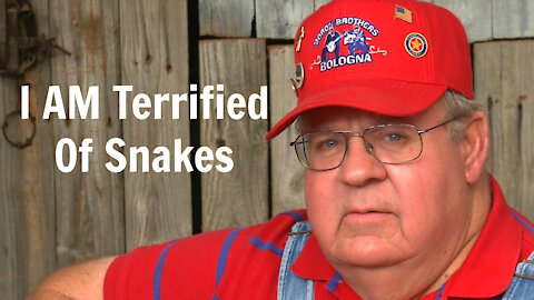 Morons Sing About Fear Of Snakes