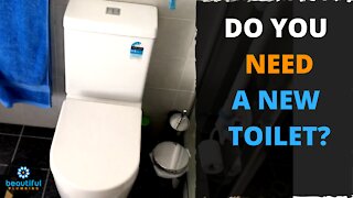 Do You Need a New Toilet? You See What We Did Here