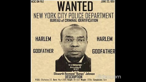 New York's Black Mafia #New York #Black Mafia #History