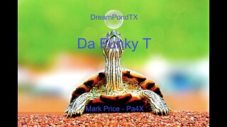 DreamPondTX/Mark Price - Da Funky T (Pa4X at the Pond, PU)