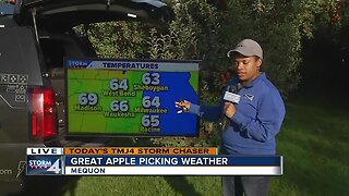 Perfect weather for apple picking this week