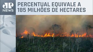 Mais de 21% do território brasileiro foi queimado em 37 anos, diz MapBiomas