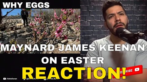 Sebs reacts to A Easter Story Told By Maynard Keenan | Okay I'm down for Easter now