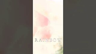 RISE Rainbow Warrior - Awaken from the Dream