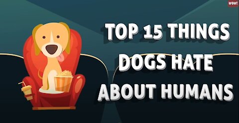 For Dog Lovers🐶15 Things Dogs Hate about Humans