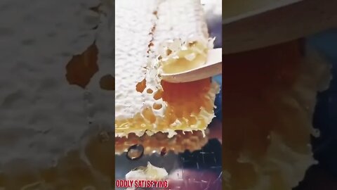 Best Oddly Satisfying Video for Stress Relief #oddlysatisfying #asmr #honey #honeycomb #honeybee