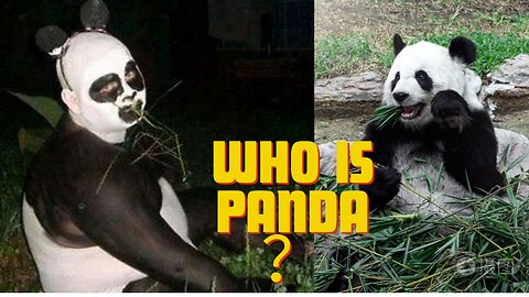 who is panda？Panda Funny Video 😄cute video animal videos Zoo fun Cute baby Chinese KongfuPanda