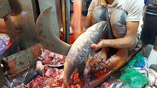 Amazing Fish Cutting Skills | Fish Cutting Expert | Fish Cutting Techniques