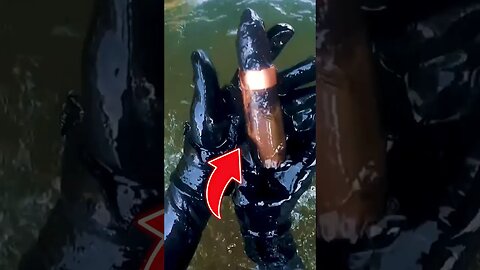 Diver Stunned After Making INSANE Discovery #shorts