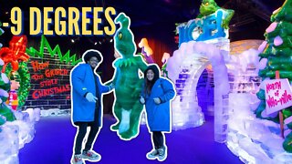 MY FACE FROZE AT THE ICE BAR 🥶 | (ENDED UP IN THE HOSPITAL)