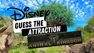 Disney Trivia Quiz Guess the Attraction Challenge Animal Kingdom Disney World Rides