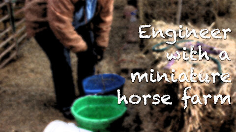 An Engineer With a Miniature Horse Farm