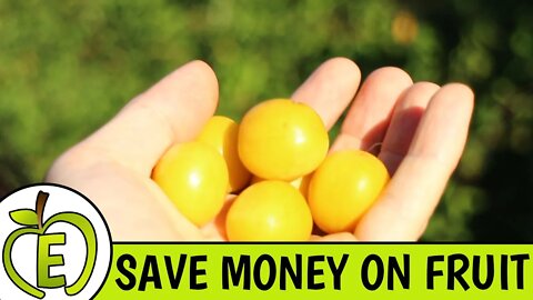 4 Ways to Save a Ton of Money on Fruit