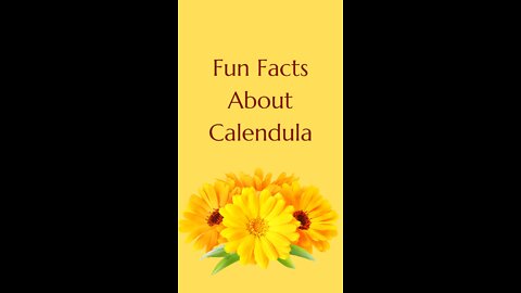 Fun Facts About Calendula