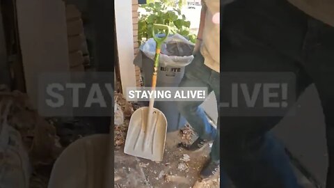 TRYING TO STAY ALIVE DEEP INSIDE OF A RATS NEST! SOONER STATE JUNK REMOVAL | OKLAHOMA CITY