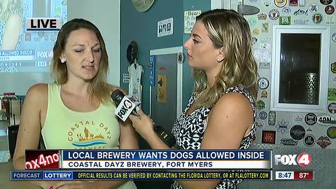 Florida health officials to ban dogs from being inside breweries