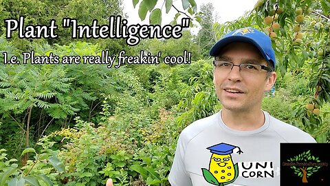 Plants are freakin cool - plant "intelligence"