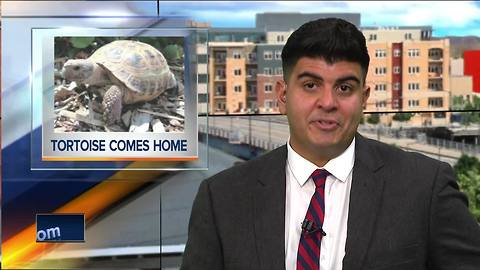 Stolen tortoise returned to Menominee Park Zoo