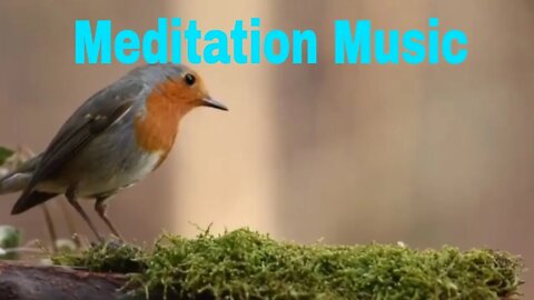Meditation Relaxing Music 2022