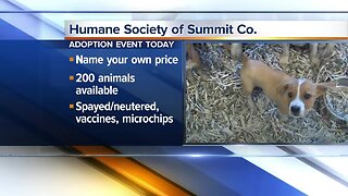 Humane Society of Summit County hosting adoption event