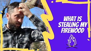 What is STEALING my Firewood?!! | Our take on Wood vs. Pellets for our source of Heat