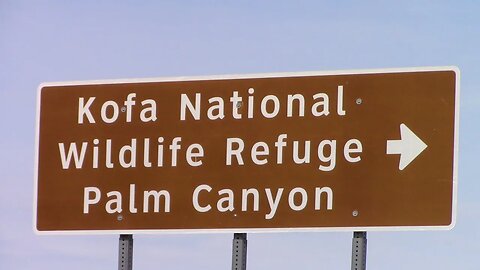 Palm Canyon near Quartzite AZ